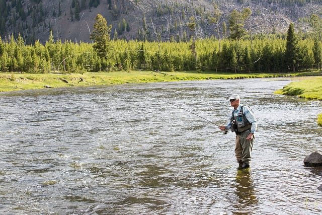 Fishing in yellowstone discount